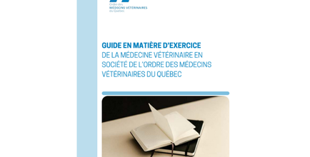 Guide exercice société